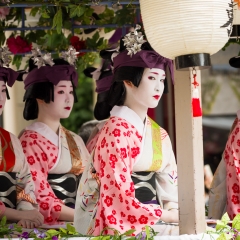 Geisha, Matsuri festival, Kyoto - Japan