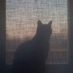 Vincent alla finestra